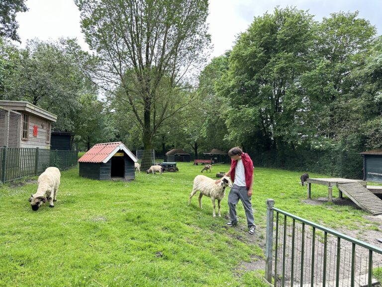 Children’s Farm De Buiktuin