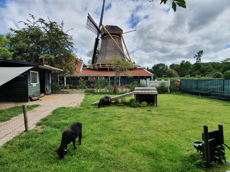 Children’s Farm De Buiktuin
