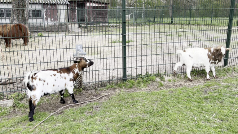 Children’s Farm De Uylenburg