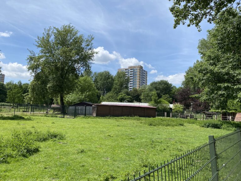 Children’s Farm De Uylenburg