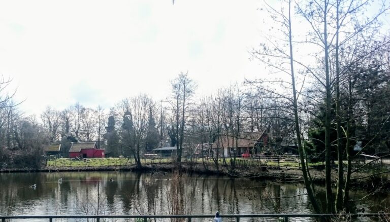 Het Diereneiland