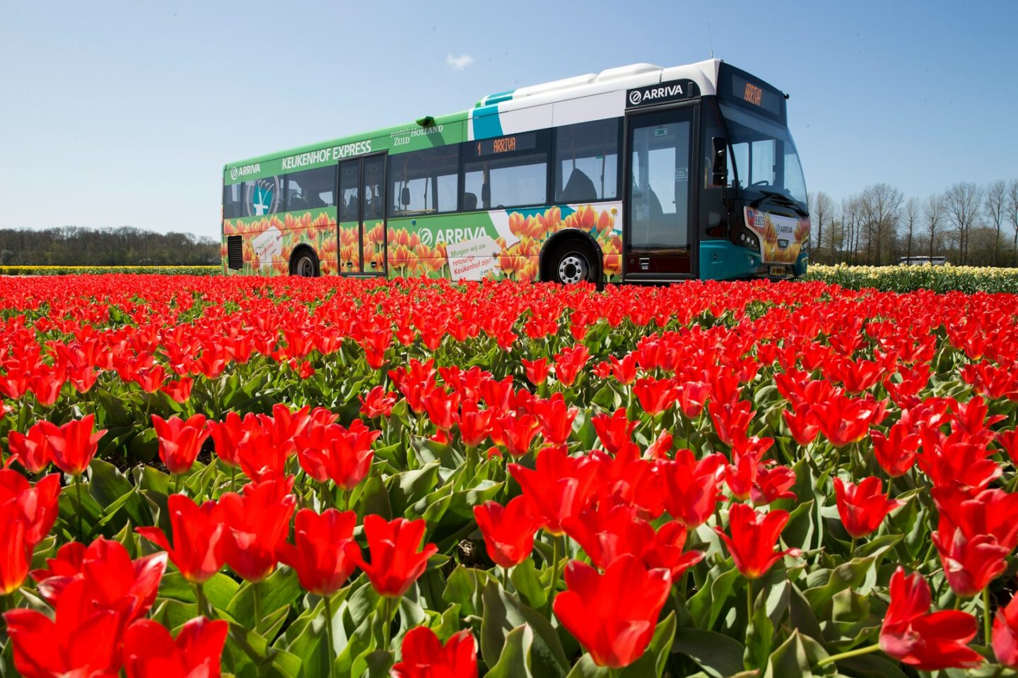 Amsterdam: City & Region Travel