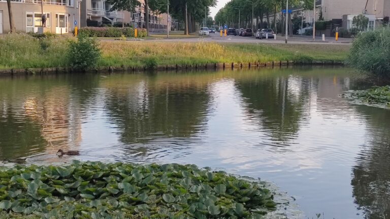 Amstelveenpas