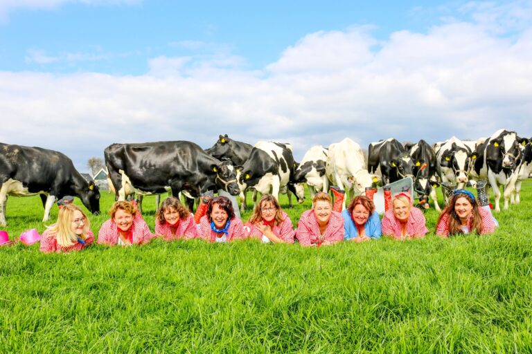 Animal Adventure Kids’ Party at Farmsurvival in Spanbroek