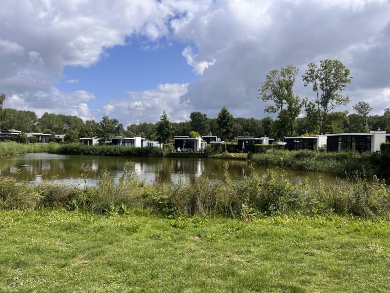 Barbecuing at Spaarnwoude Park in Halfweg