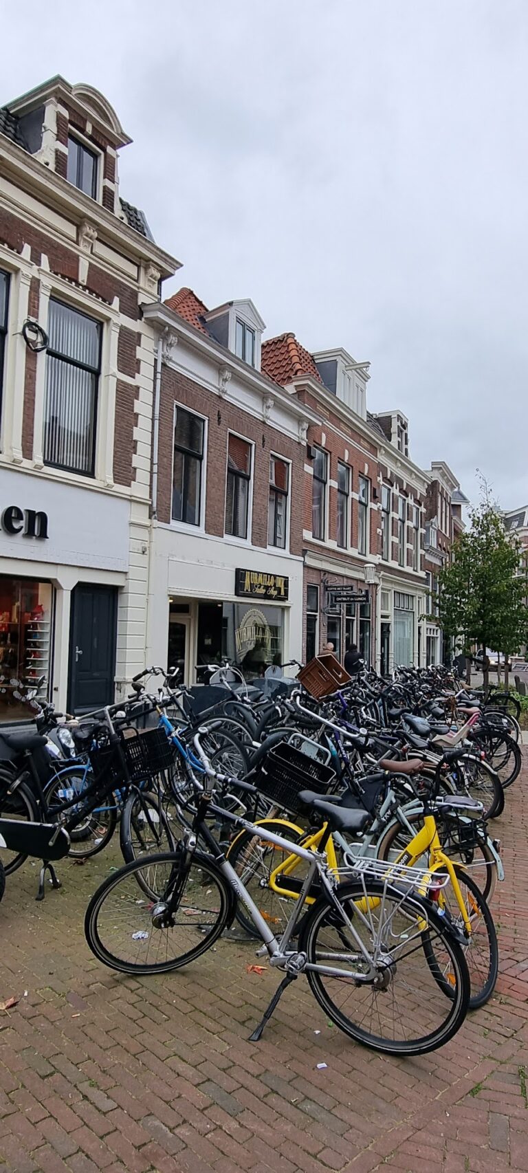 Barends Children’s Shoe Shop