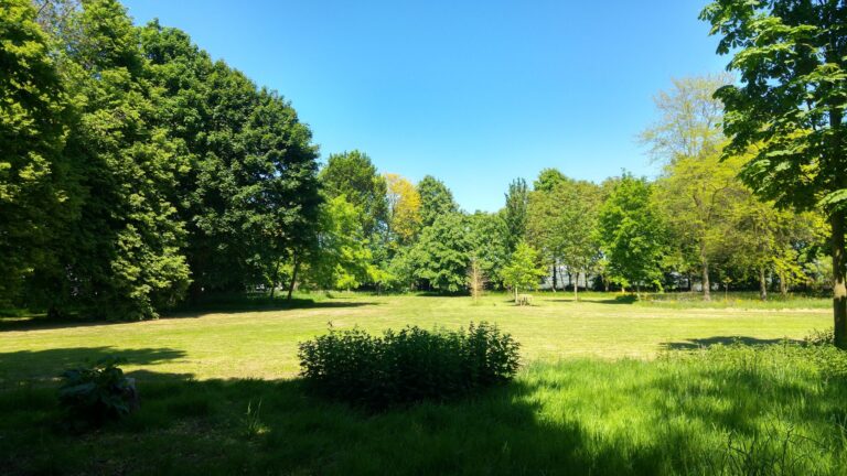 Beemster Kabouterpad at Beemster Arboretum (Gnome Trail)