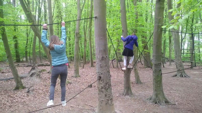 Belevenissenbos Lelystad (Adventure Forest)