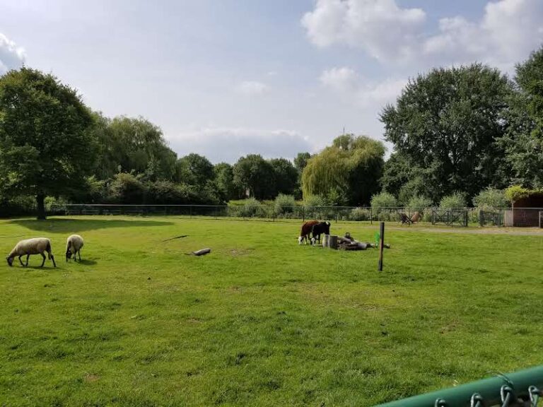 Boerderijfeestje op Boerderij Westerpark