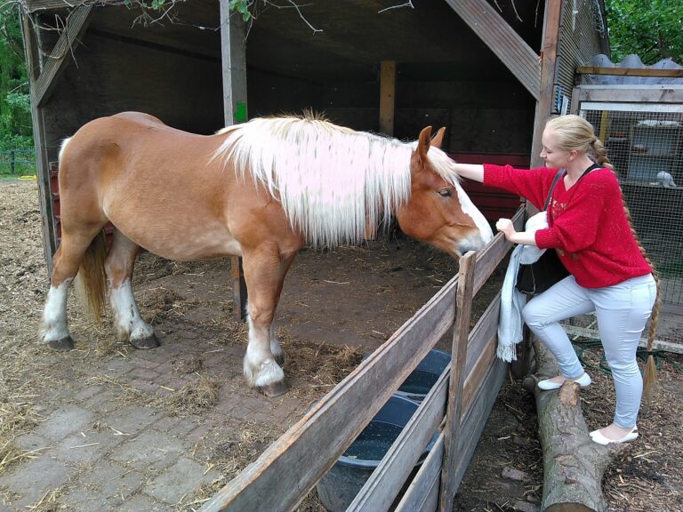 Boerderijfeestje op Boerderij Westerpark