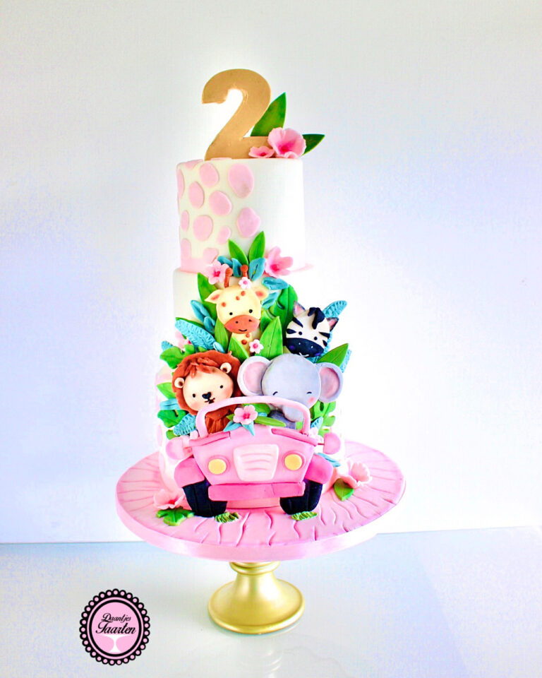 Children’s Cakes at Smultaart Purmerend