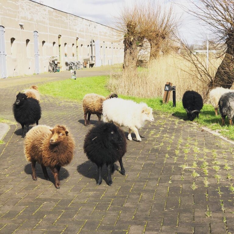 Fort at St Aagtendijk