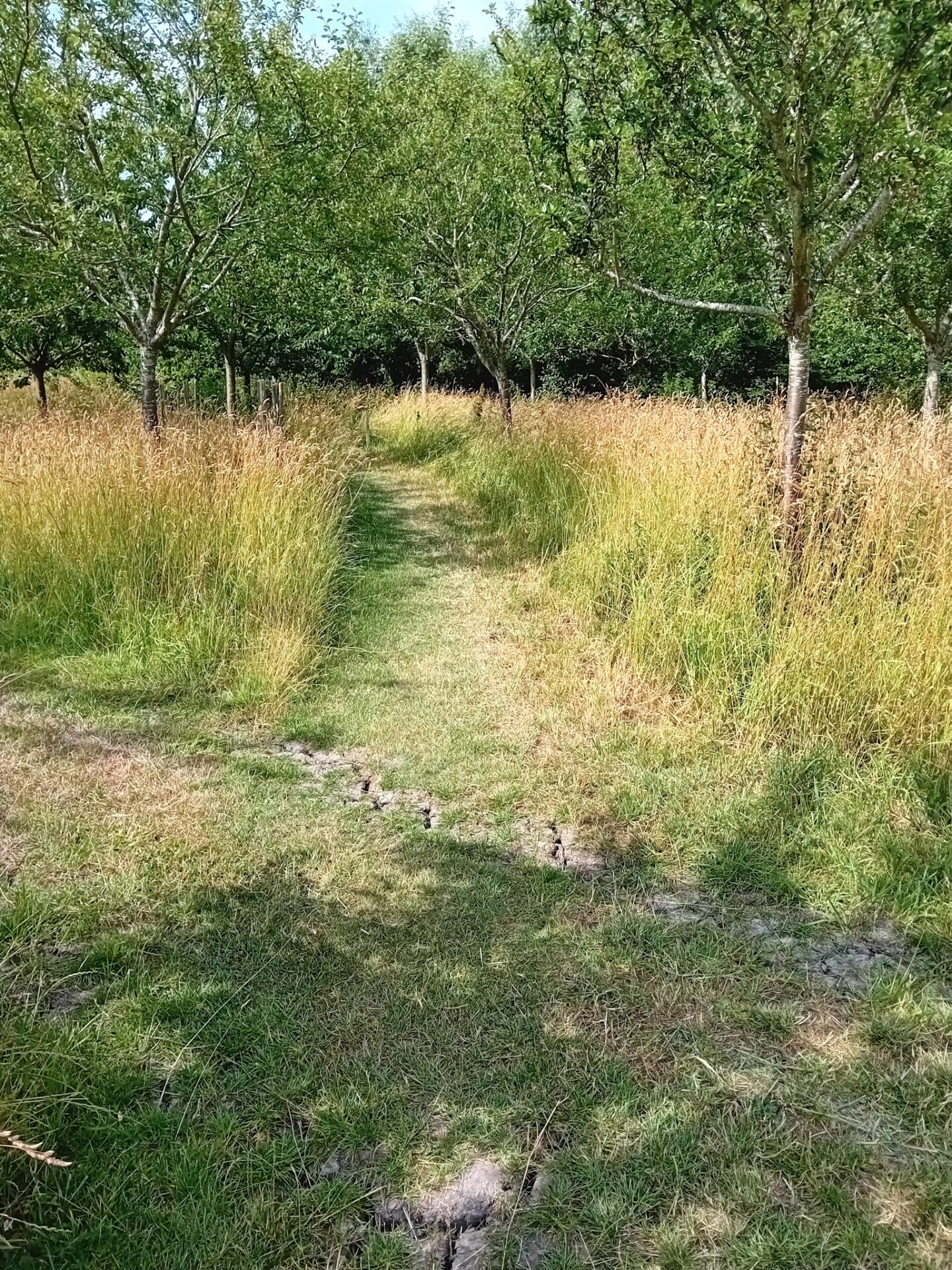 Golden Feet Barefoot Trail in Bovenkarspel