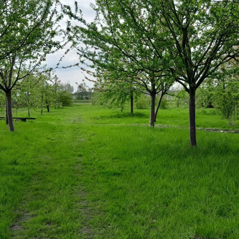 Golden Feet Barefoot Trail in Bovenkarspel