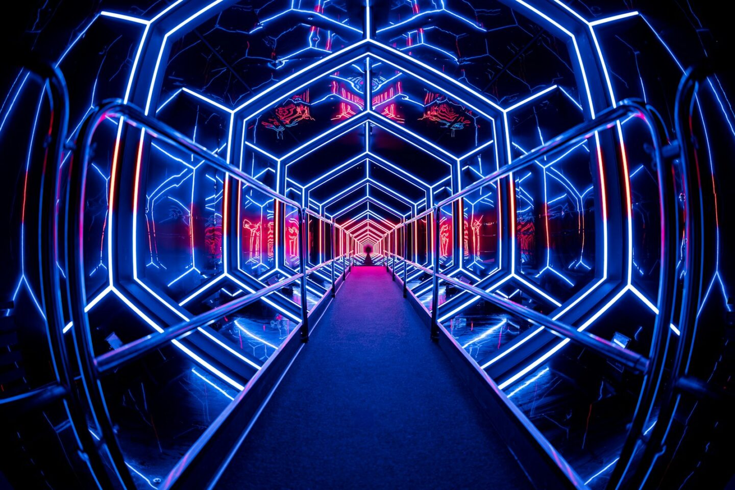 AMAZE: The Immersive Experience