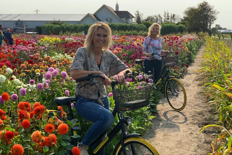 Bulb Region: Dahlia Gardens, Windmills & Castle Bike Tour