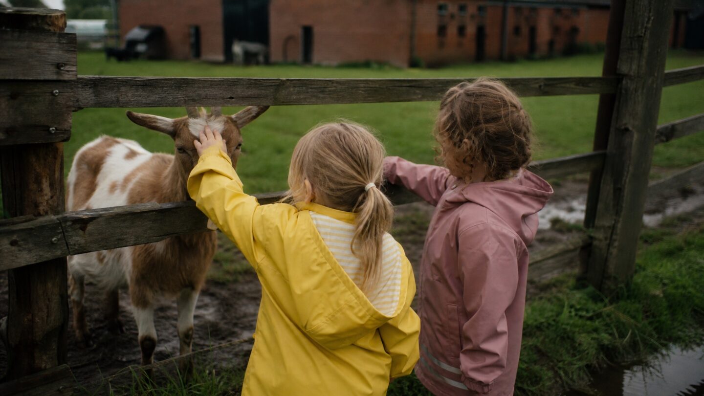 The Best Petting Farms in the Netherlands, Region by Region