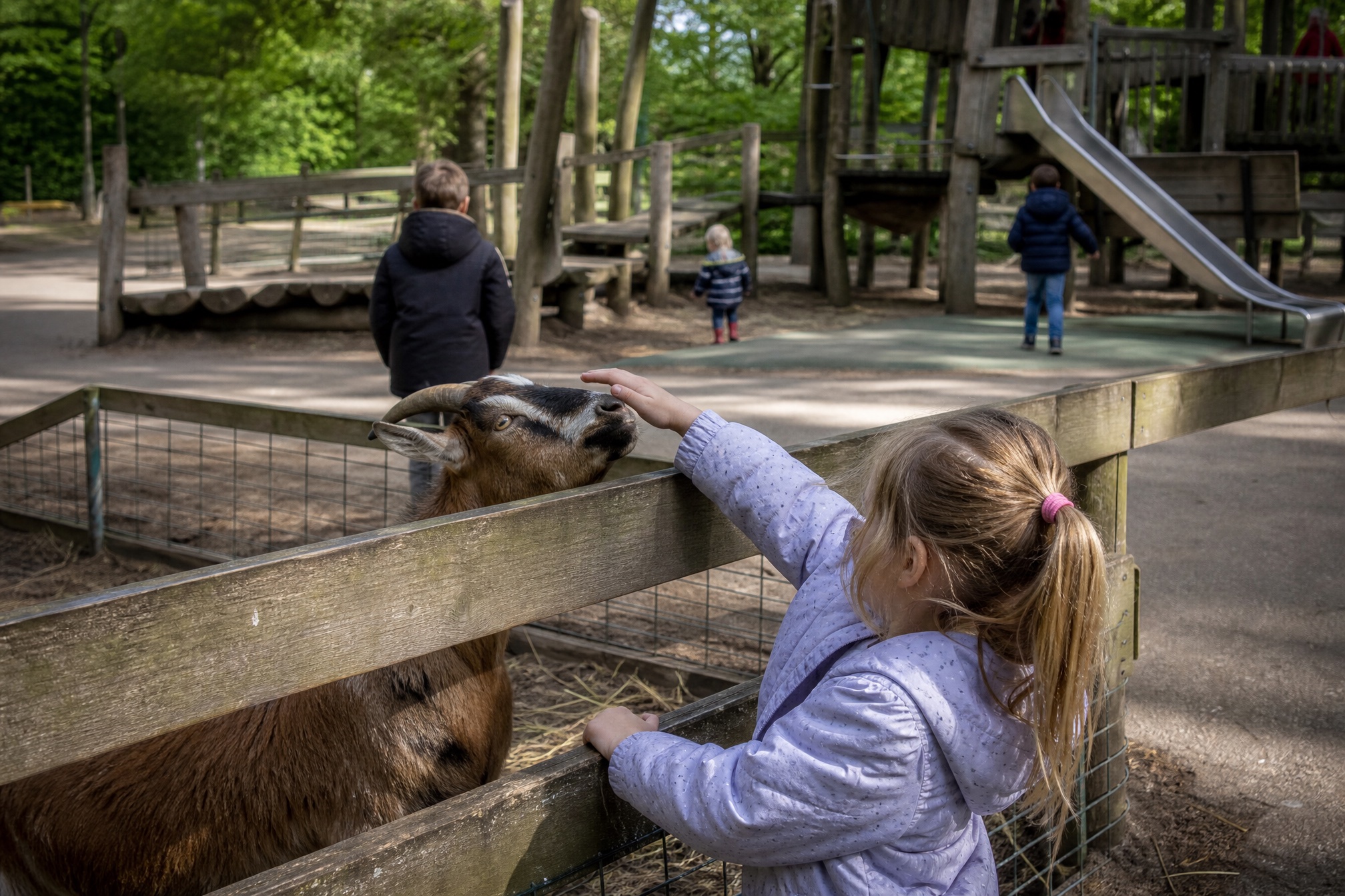 Kids petting a goat next to a playground in a Utrecht park