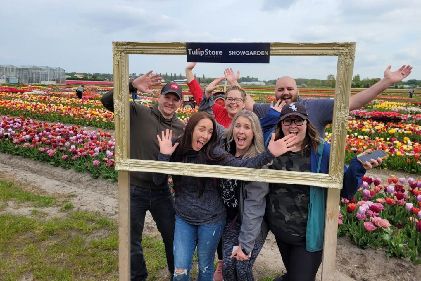 Amsterdam: Small Group Tulip Fields Bike Tour