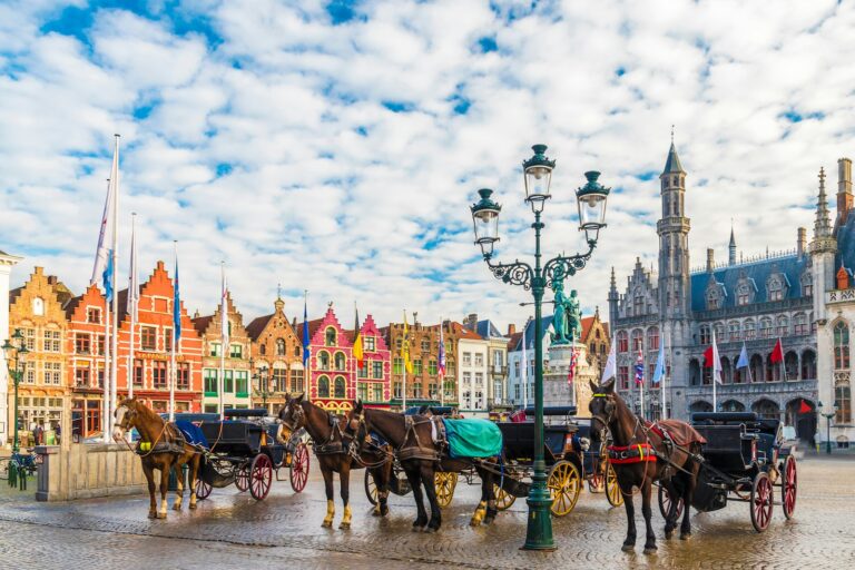 Bruges: Guided Tour + Transport