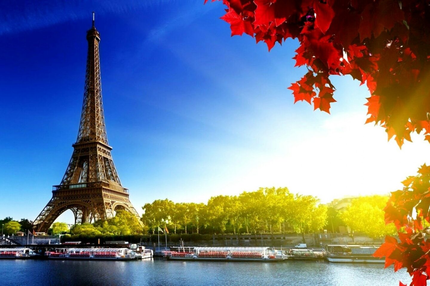 Paris: Roundtrip by Bus
