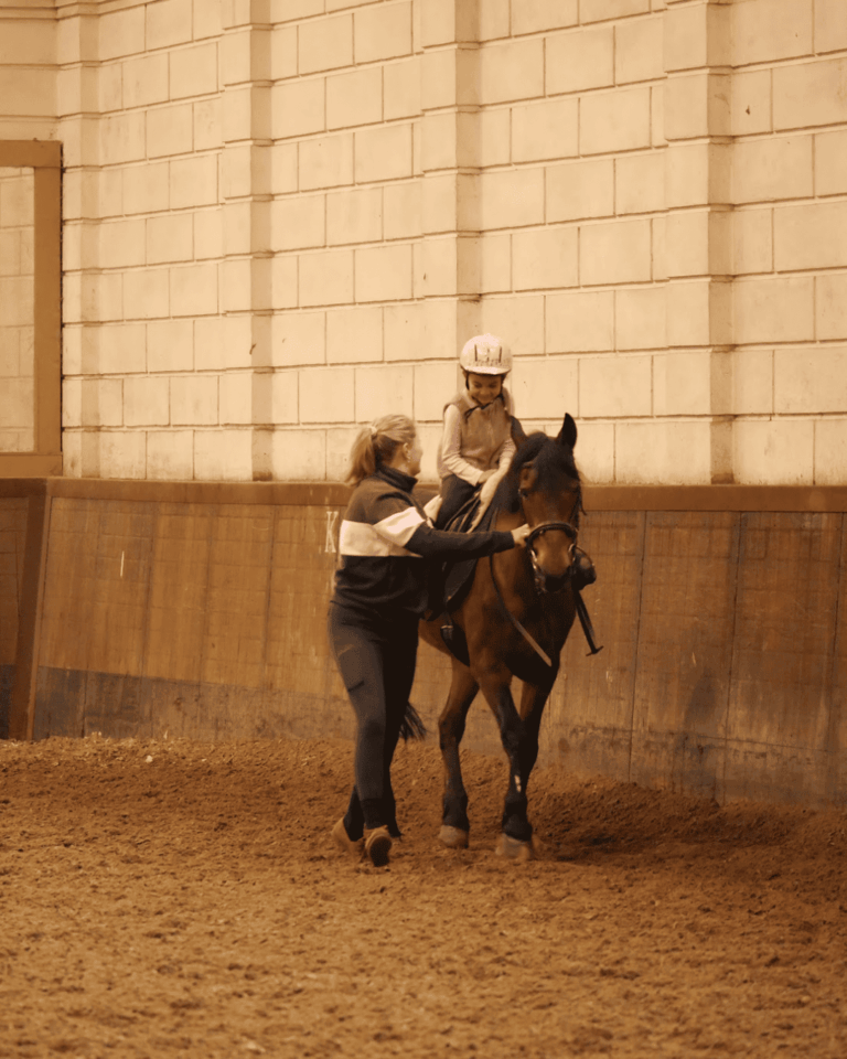 De Hollandsche Manege