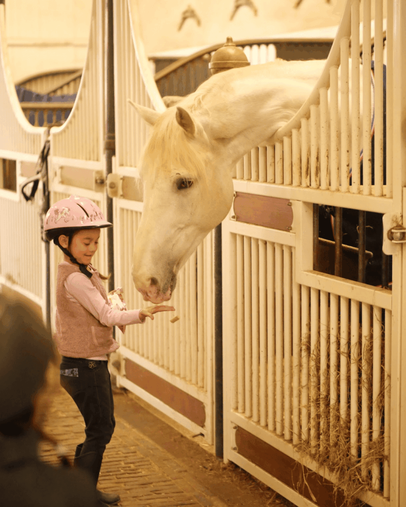 De Hollandsche Manege