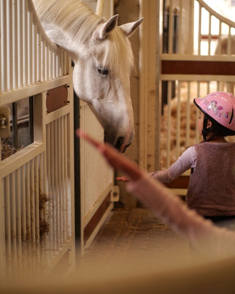 De Hollandsche Manege