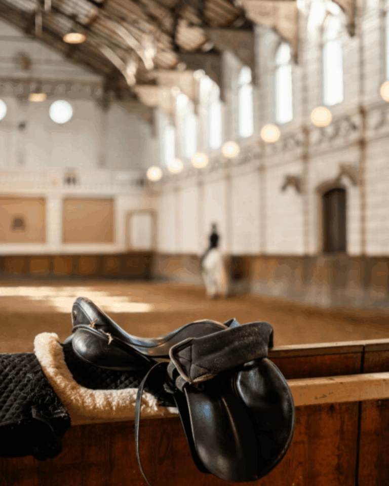 De Hollandsche Manege