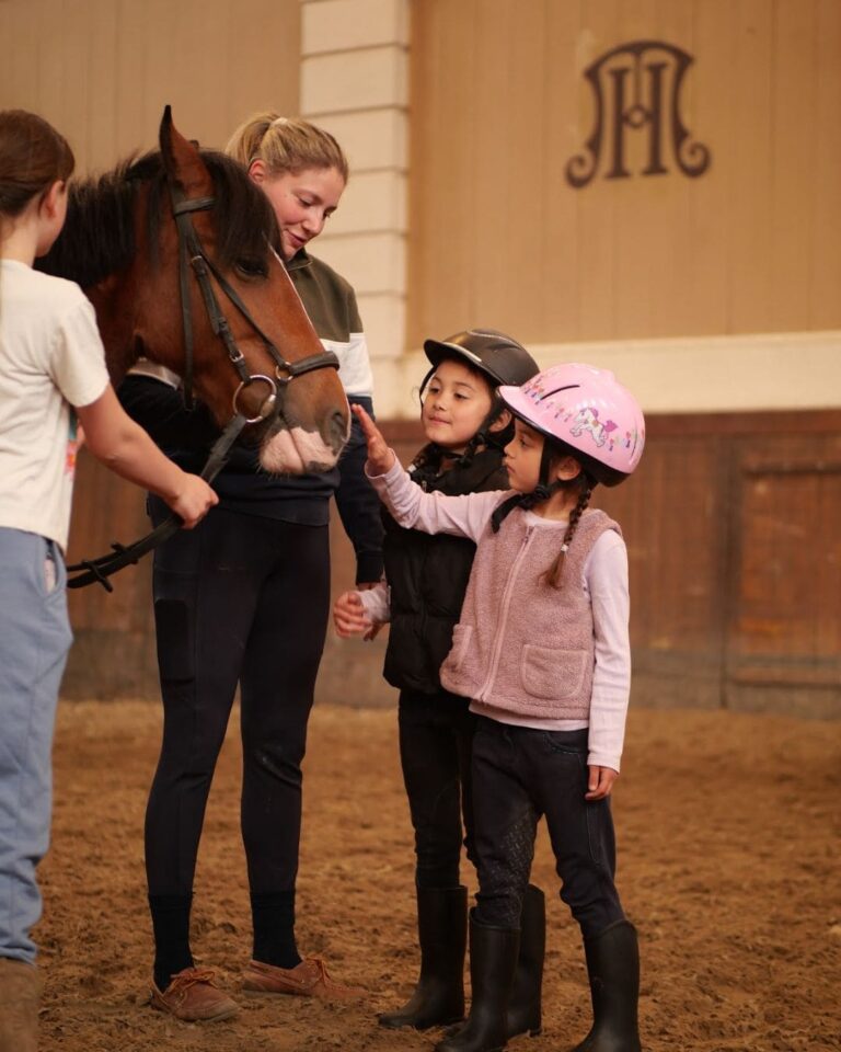De Hollandsche Manege