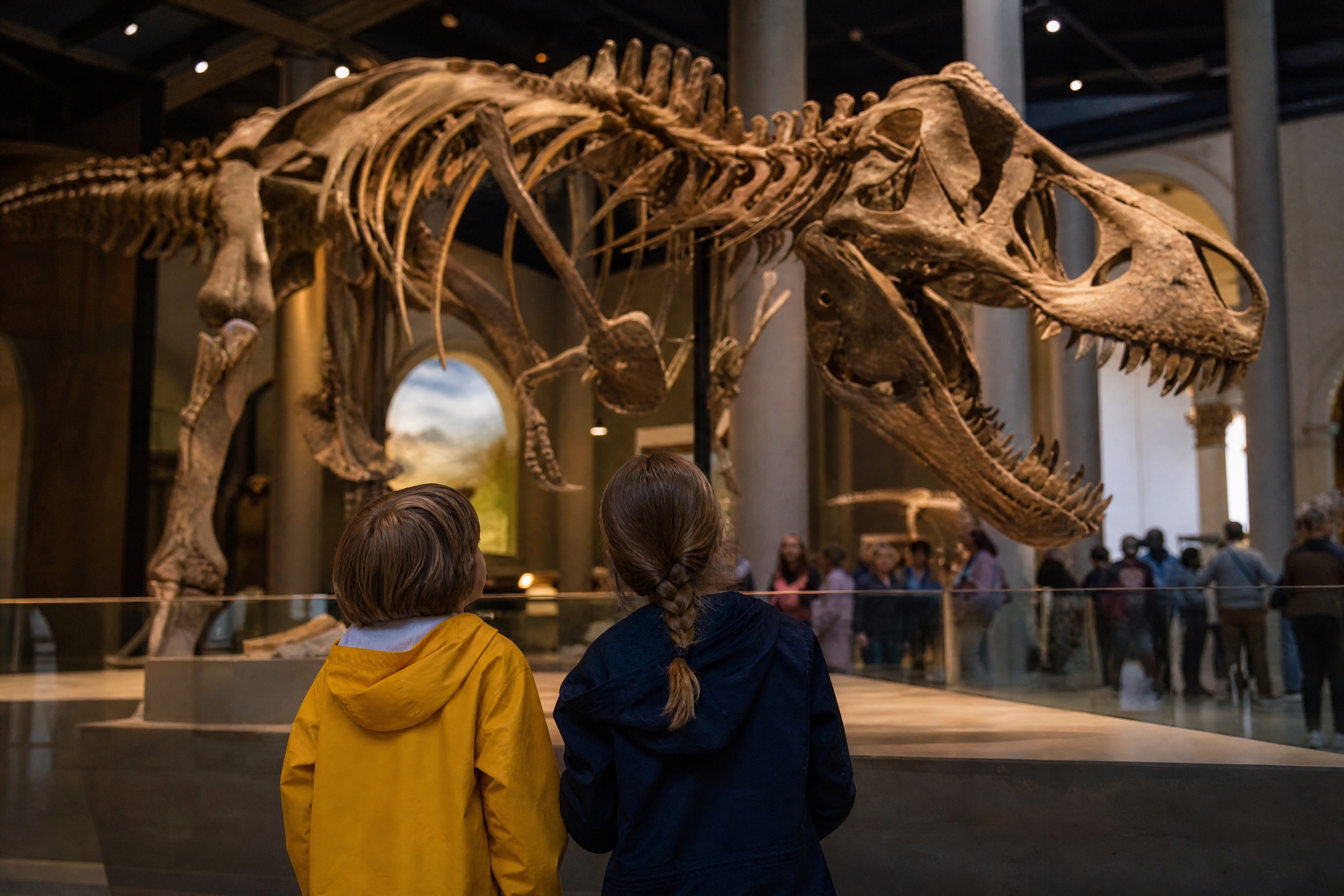 Two children looking up at a dinosaur skeleton at a natural history museum in the Netherlands