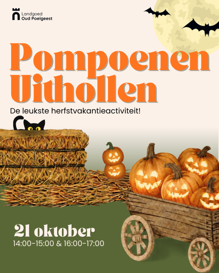 Pompoenen Uithollen Kidsevent in Oegstgeest
